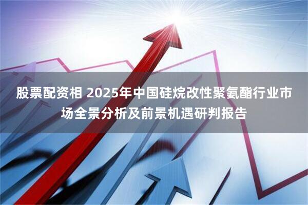 股票配资相 2025年中国硅烷改性聚氨酯行业市场全景分析及前景机遇研判报告