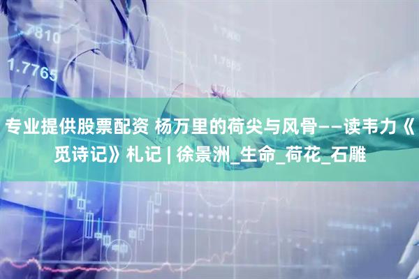 专业提供股票配资 杨万里的荷尖与风骨——读韦力《觅诗记》札记 | 徐景洲_生命_荷花_石雕